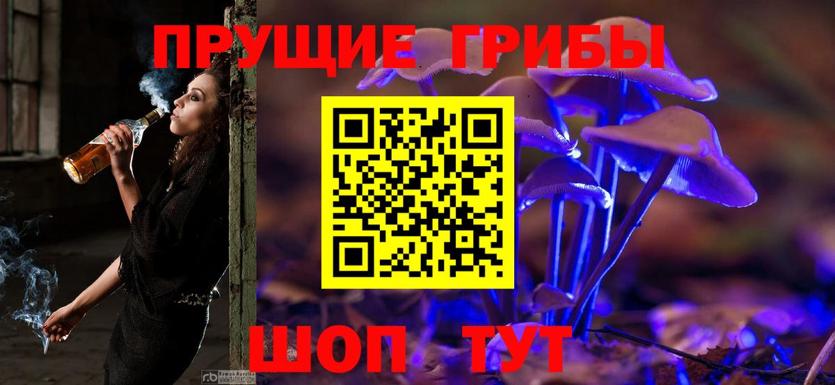 Сосновоборск  Галлюциногенные грибы Psilocybe  наркошоп  Вход с VPN 